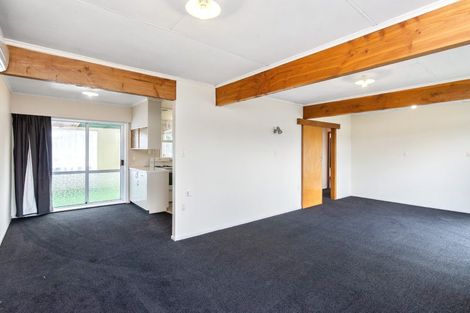 Photo of property in 17 John Street, Levin, 5510