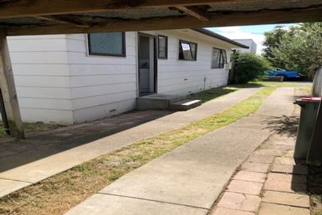 Photo of property in 157c Nixon Street, Hamilton East, Hamilton, 3216