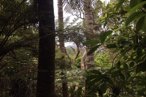 Photo of property in 45 Lone Kauri Road, Karekare, Auckland, 0772