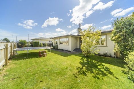 Photo of property in 17 Forbury Avenue, Takaro, Palmerston North, 4412