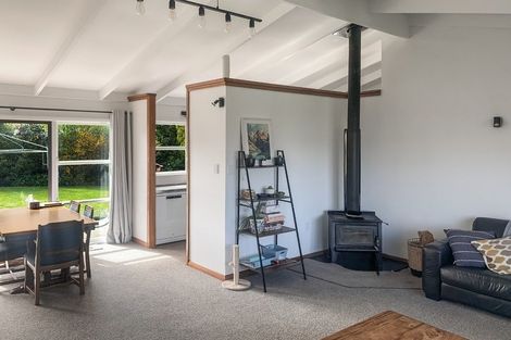 Photo of property in 20 Chamberlain Street, Dannevirke, 4930