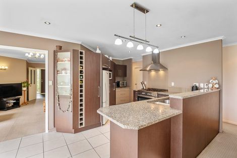 Photo of property in 61 Parkhaven Drive, Rosehill, Papakura, 2113