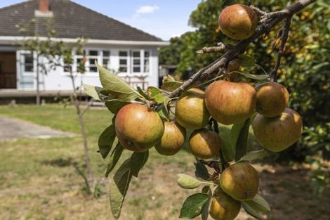 Photo of property in 77a Riverside Drive, Waiwhetu, Lower Hutt, 5010