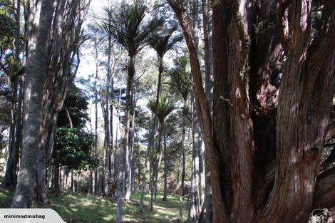 Photo of property in 229 Settlement Road, Kaiwaka, 0573