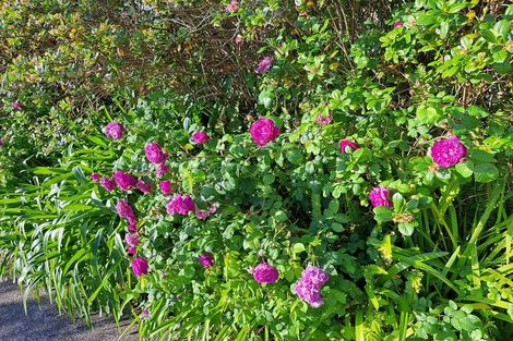 Photo of property in 82 Ocean View Road, Northcote, Auckland, 0627