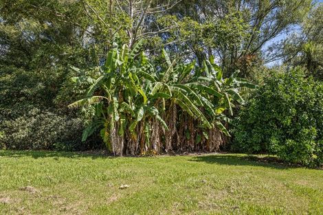 Photo of property in 103 King Road, Mangawhai, 0573