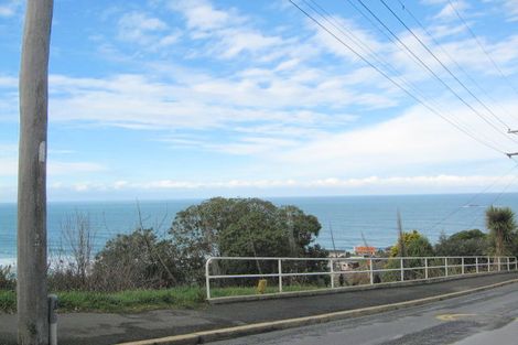 Photo of property in 109 Ravenswood Road, Saint Clair, Dunedin, 9012