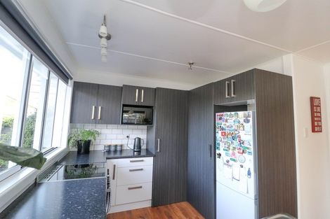 Photo of property in 103 Lowe Avenue, Thames, 3500