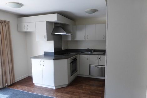 Photo of property in 3/30 Mathesons Road, Phillipstown, Christchurch, 8011