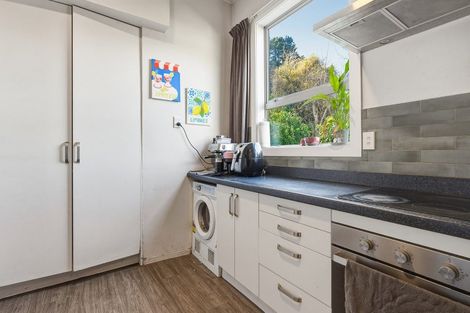 Photo of property in 63 Malvern Street, Woodhaugh, Dunedin, 9010