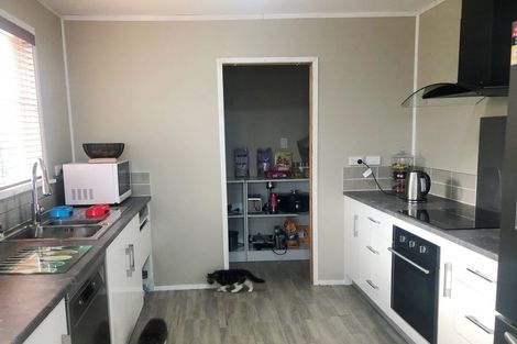 Photo of property in 21 Bledisloe Street, Levin, 5510