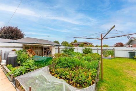 Photo of property in 124 Richard Pearse Drive, Temuka, 7920