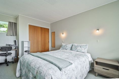 Photo of property in 220b Wolseley Street, Mayfair, Hastings, 4122