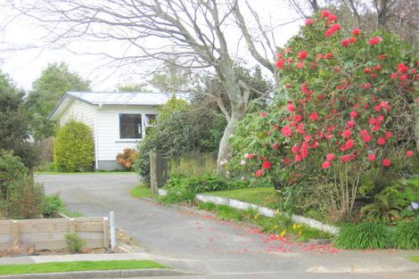Photo of property in 16 Stuart Street, Levin, 5510