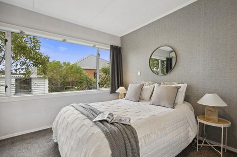 Photo of property in 15 Puketai Street, Andersons Bay, Dunedin, 9013