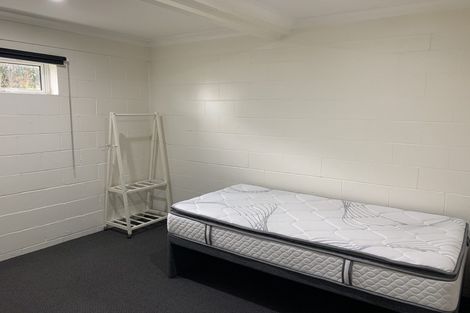 Photo of property in 48 Boyce Avenue, Mount Roskill, Auckland, 1041