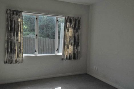 Photo of property in 19a Regent Street, Newtown, Wellington, 6021