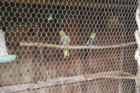 Photo of property in 97 Hangawera Road, Morrinsville, 3375