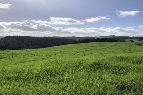 Photo of property in 504b Wairere Road, Maungaturoto, 0571