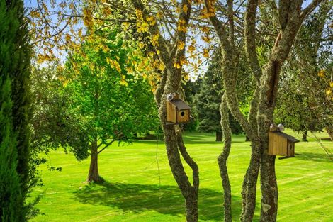 Photo of property in 14a Nikau Street, Springfield, Rotorua, 3015