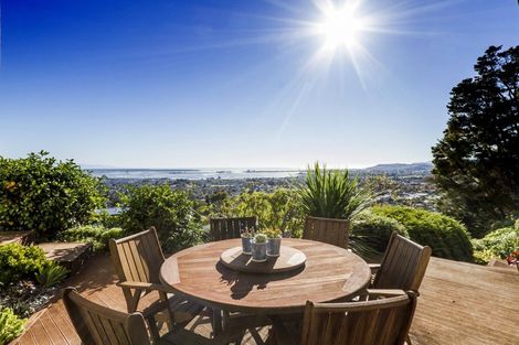 Photo of property in 19 Valhalla Drive, Richmond, 7020