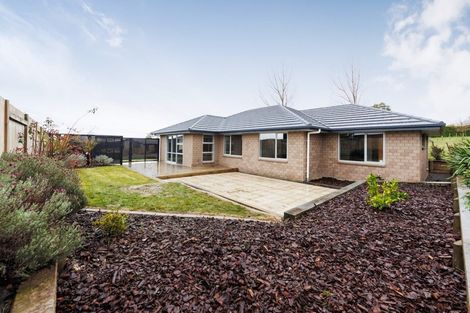 Photo of property in 7 Poplar Grove, Feilding, 4702