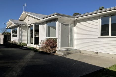 Photo of property in 102 Stapletons Road, Richmond, Christchurch, 8013