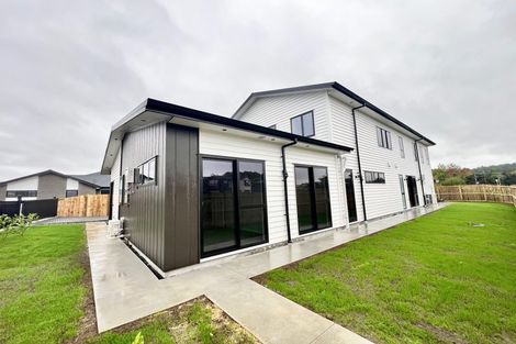 Photo of property in 16 Kiokio Place, Swanson, 0614