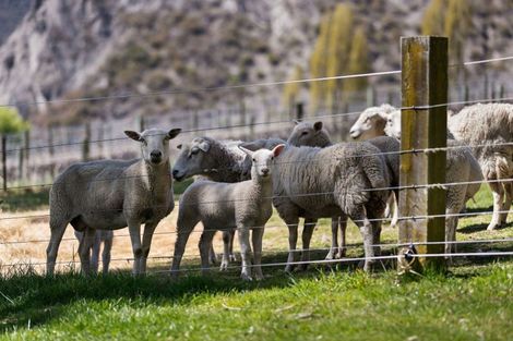 Photo of property in 65 Gibbston Back Road, Gibbston, Queenstown, 9371