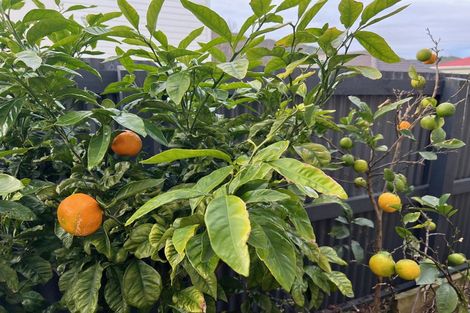 Photo of property in 41a Leighton Avenue, Waiwhetu, Lower Hutt, 5010