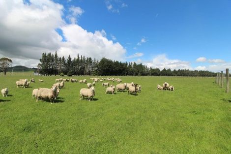 Photo of property in 5 Lanark Street, Lumsden, 9794