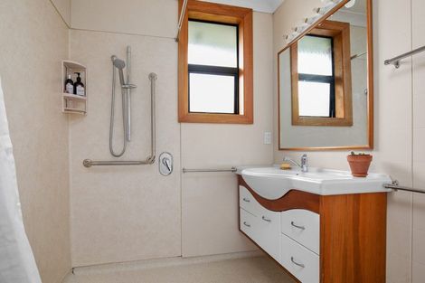 Photo of property in 15 Clutha Street, Alexandra, 9320