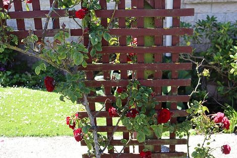 Photo of property in 27 Walbrook Crescent, Oamaru North, Oamaru, 9400