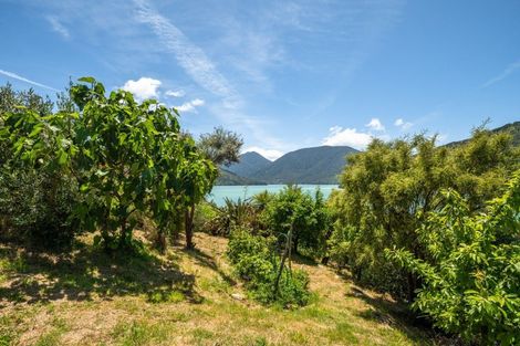 Photo of property in 579 Queen Charlotte Drive, Havelock, 7281