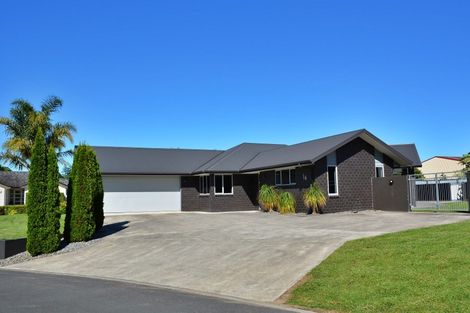 Photo of property in 14 Allendale Place, Morrinsville, 3300