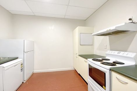 Photo of property in 115 Vivian Street, Te Aro, Wellington, 6011