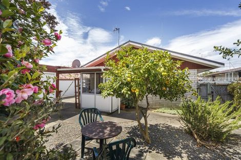 Photo of property in 176b Ruahine Street, Roslyn, Palmerston North, 4414