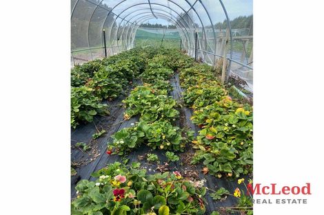 Photo of property in 1742 Grahams Road, Eiffelton, Ashburton, 7774