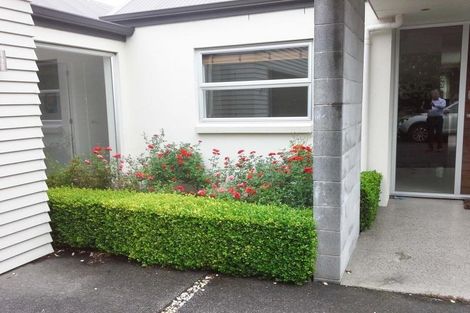 Photo of property in 32d Ainslee Street, Highlands Park, New Plymouth, 4312