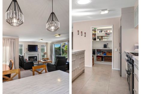 Photo of property in 167 Hollister Lane, Ohauiti, Tauranga, 3112