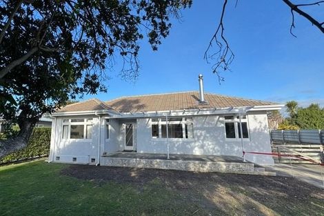 Photo of property in 209 Leo Street, Akina, Hastings, 4122