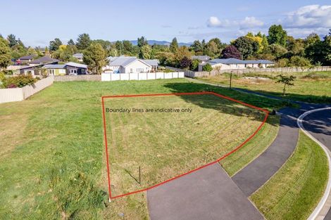 Photo of property in 24 Strawberry Place, Geraldine, 7930