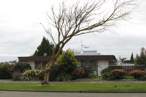 Photo of property in 13e Hereford Street, Levin, 5510