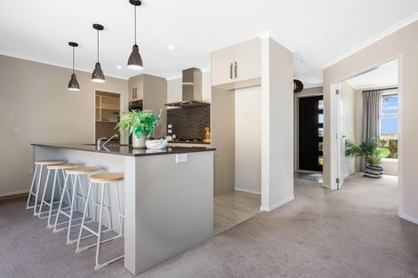 Photo of property in 51 John Burke Drive, Aotea, Porirua, 5024