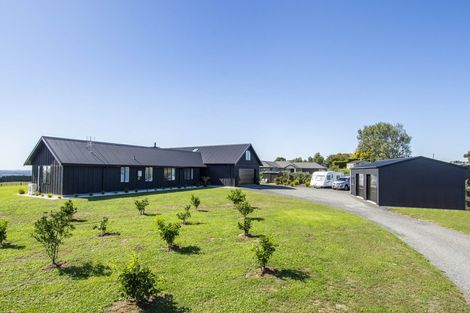 Photo of property in 423b Youngson Road, Whakamarama, Tauranga, 3179