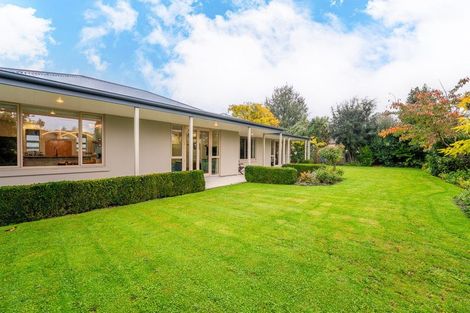 Photo of property in 4b Connolly Street, Geraldine, 7930