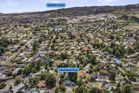 Photo of property in 8 Bushlands Place, Opaheke, Papakura, 2113