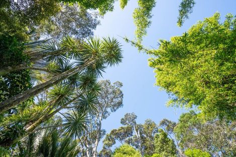 Photo of property in 413 Henderson Valley Road, Henderson Valley, Auckland, 0612