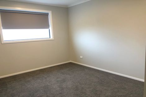 Photo of property in 8 Mcpherson Place, Fairfield, Hamilton, 3214