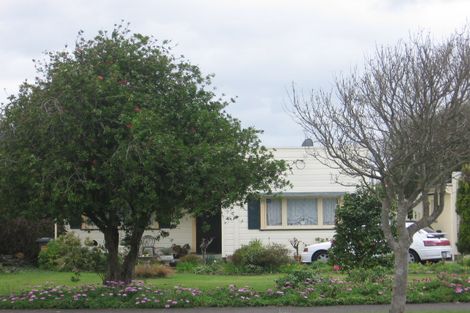 Photo of property in 12 Saxton Street, Levin, 5510
